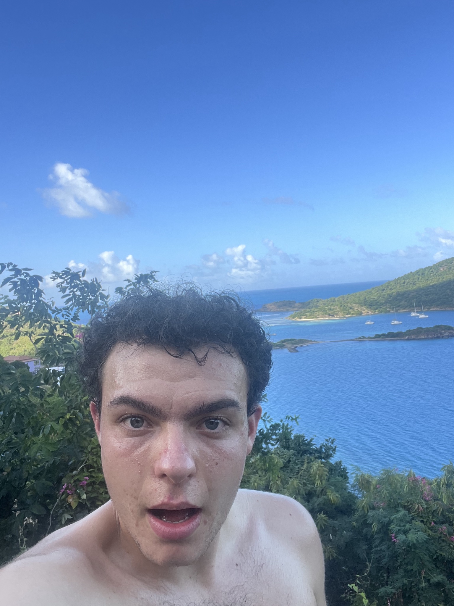 Samo with an ocean view in the background.